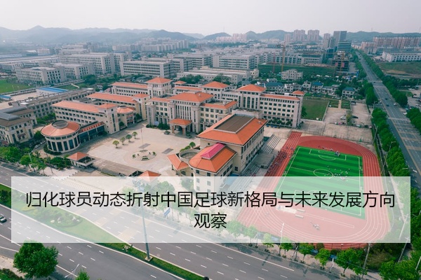 归化球员动态折射中国足球新格局与未来发展方向观察
